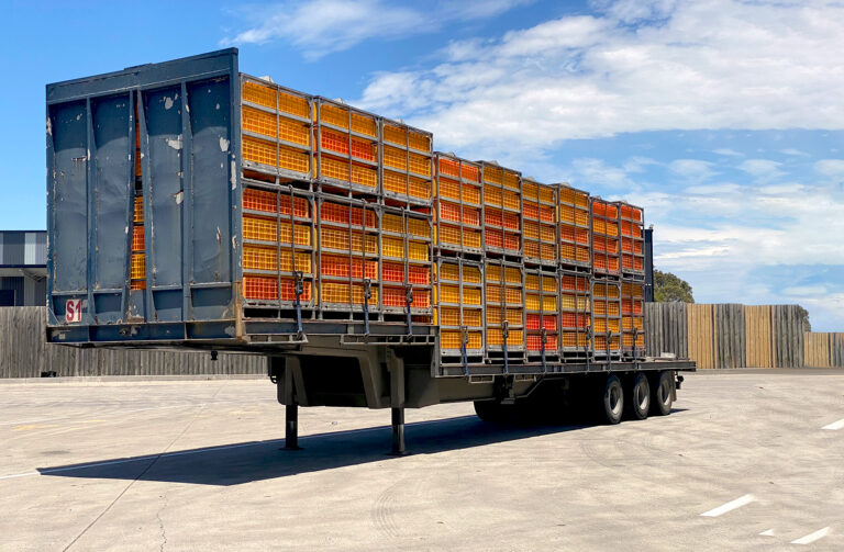 transporte de animales por carretera camion jaula