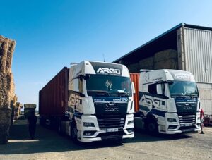 Transporte de Mercancías por carretera en pleno invierno